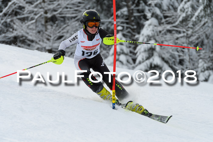 DSV Dt. Schülercup U14 SL 20.01.2018