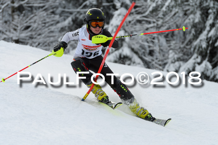 DSV Dt. Schülercup U14 SL 20.01.2018