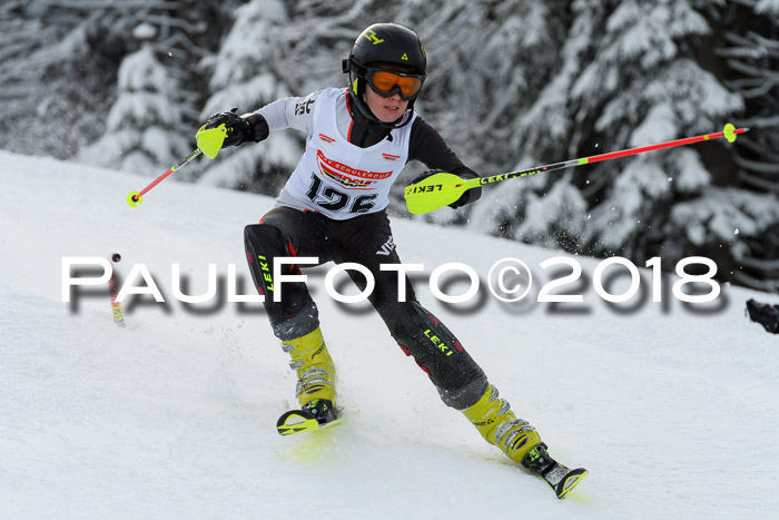 DSV Dt. Schülercup U14 SL 20.01.2018