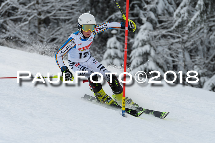 DSV Dt. Schülercup U14 SL 20.01.2018