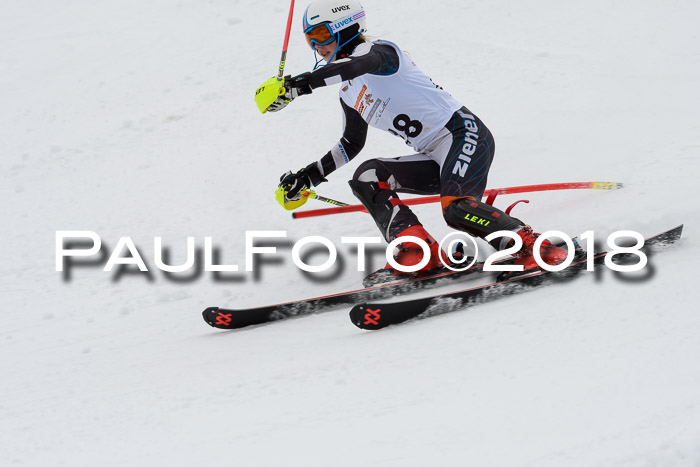 DSV Dt. Schülercup U14 SL 20.01.2018