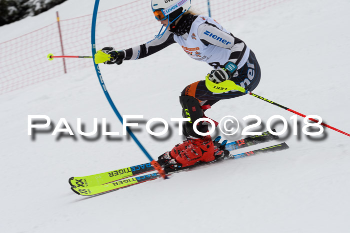 DSV Dt. Schülercup U14 SL 20.01.2018