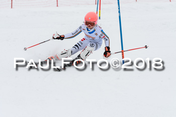 DSV Dt. Schülercup U14 SL 20.01.2018