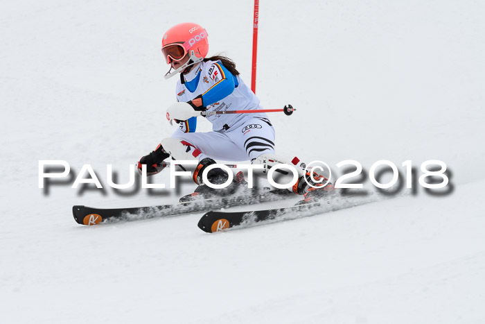 DSV Dt. Schülercup U14 SL 20.01.2018