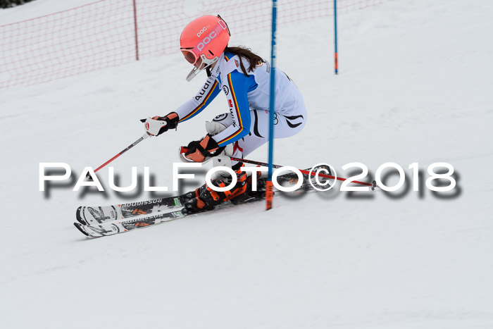 DSV Dt. Schülercup U14 SL 20.01.2018