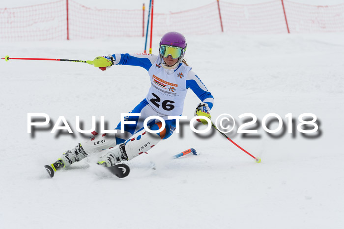 DSV Dt. Schülercup U14 SL 20.01.2018