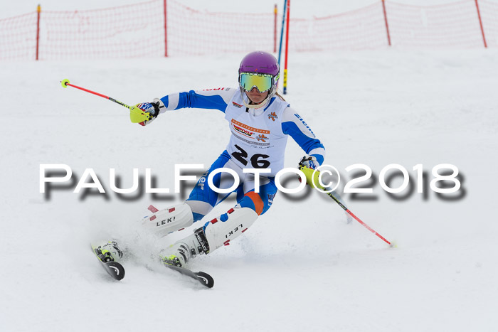 DSV Dt. Schülercup U14 SL 20.01.2018