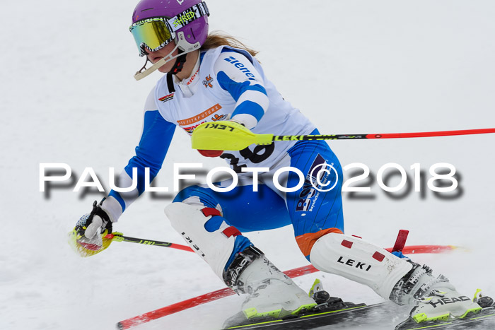 DSV Dt. Schülercup U14 SL 20.01.2018