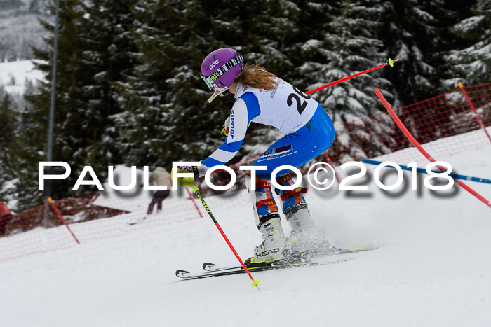 DSV Dt. Schülercup U14 SL 20.01.2018