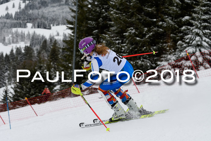 DSV Dt. Schülercup U14 SL 20.01.2018