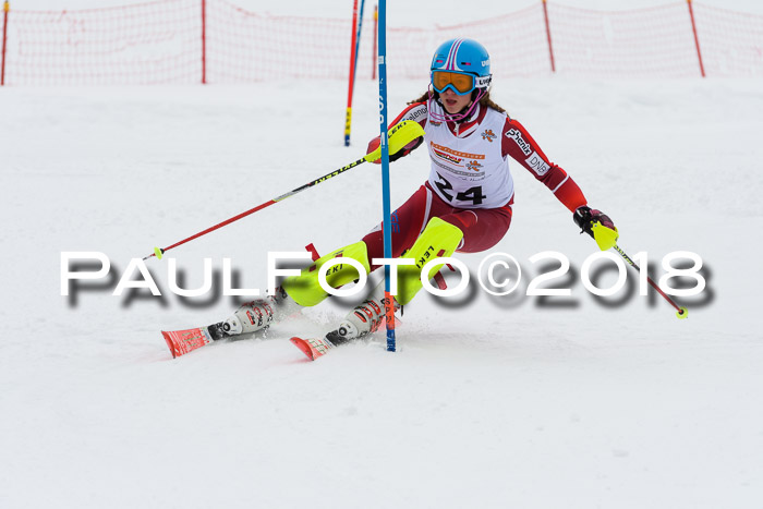 DSV Dt. Schülercup U14 SL 20.01.2018