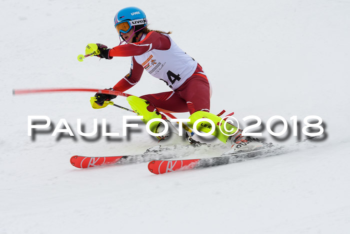 DSV Dt. Schülercup U14 SL 20.01.2018