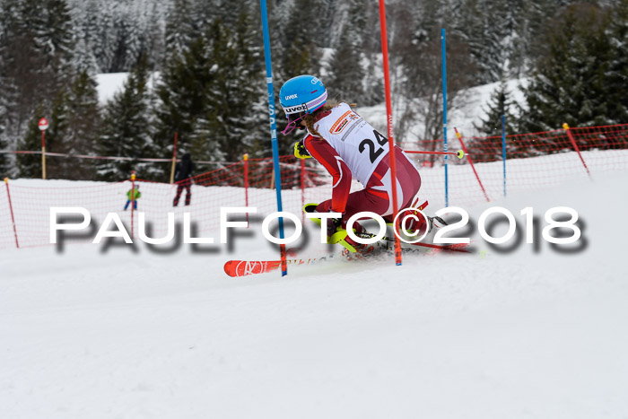 DSV Dt. Schülercup U14 SL 20.01.2018