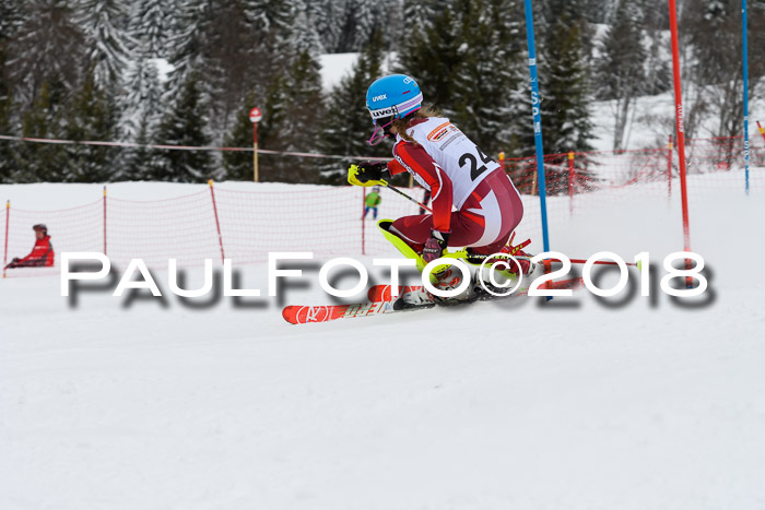 DSV Dt. Schülercup U14 SL 20.01.2018