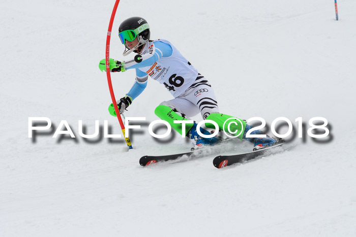 DSV Dt. Schülercup U14 SL 20.01.2018