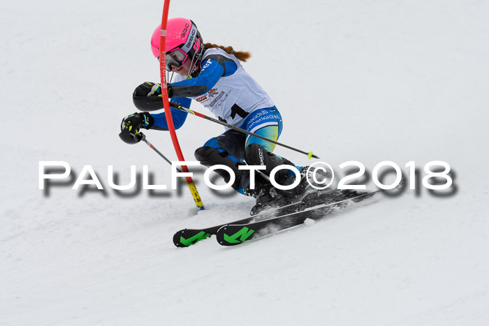 DSV Dt. Schülercup U14 SL 20.01.2018