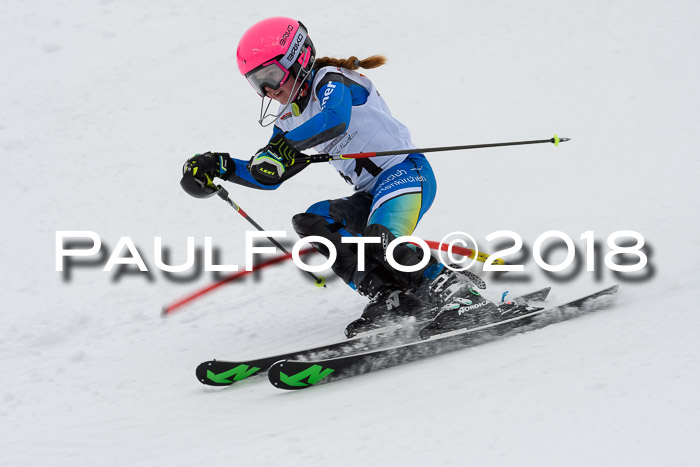 DSV Dt. Schülercup U14 SL 20.01.2018