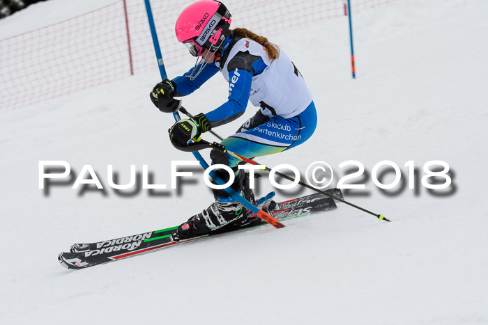 DSV Dt. Schülercup U14 SL 20.01.2018