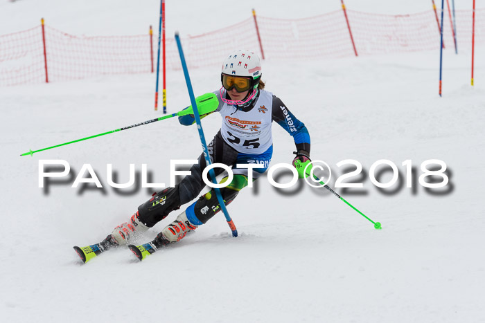 DSV Dt. Schülercup U14 SL 20.01.2018