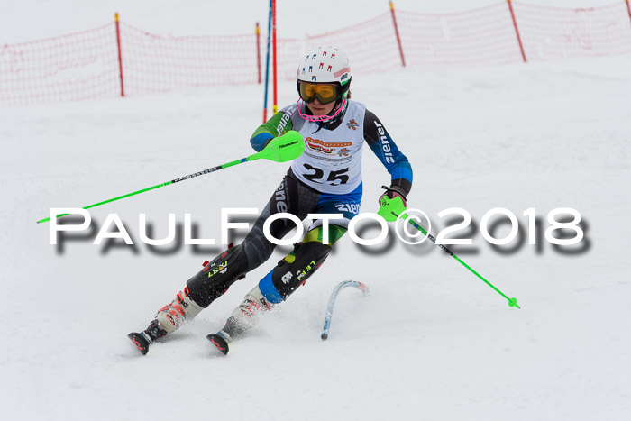 DSV Dt. Schülercup U14 SL 20.01.2018