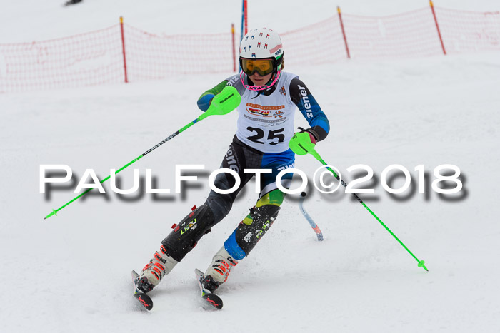 DSV Dt. Schülercup U14 SL 20.01.2018