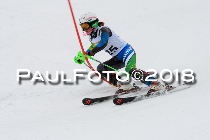 DSV Dt. Schülercup U14 SL 20.01.2018