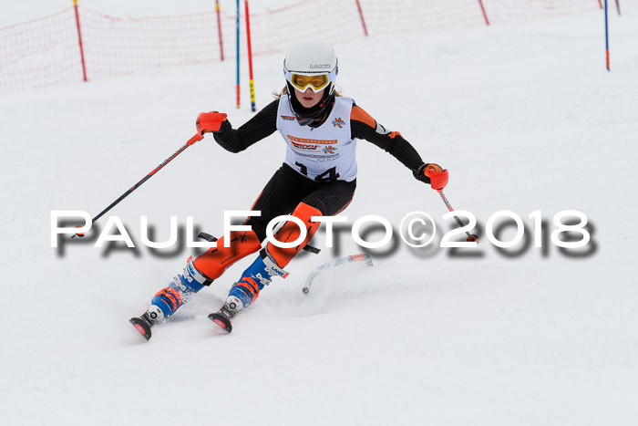 DSV Dt. Schülercup U14 SL 20.01.2018