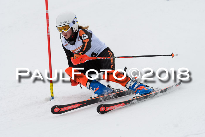 DSV Dt. Schülercup U14 SL 20.01.2018