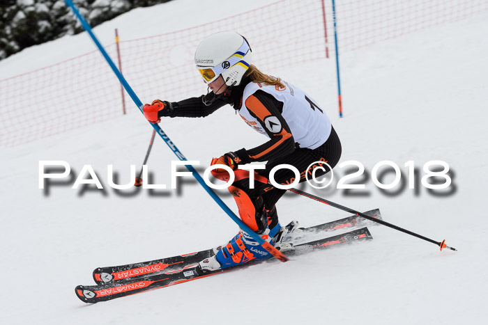 DSV Dt. Schülercup U14 SL 20.01.2018