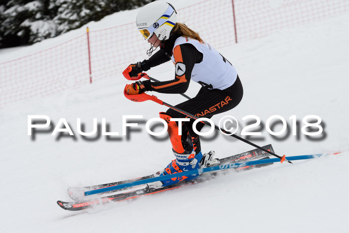 DSV Dt. Schülercup U14 SL 20.01.2018