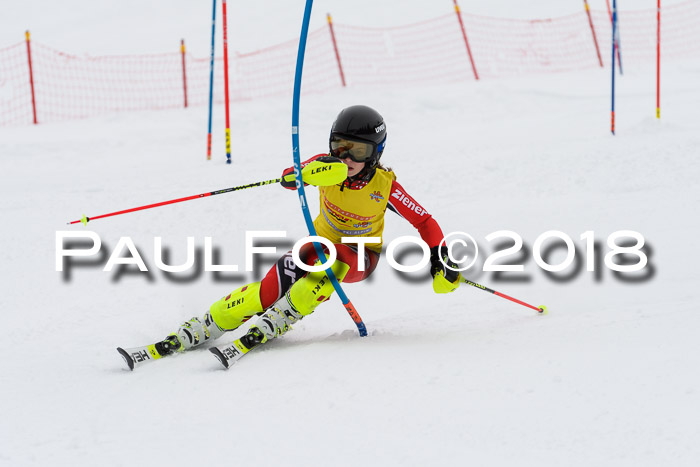 DSV Dt. Schülercup U14 SL 20.01.2018