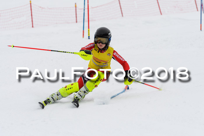 DSV Dt. Schülercup U14 SL 20.01.2018