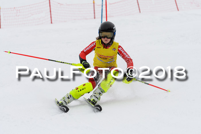 DSV Dt. Schülercup U14 SL 20.01.2018