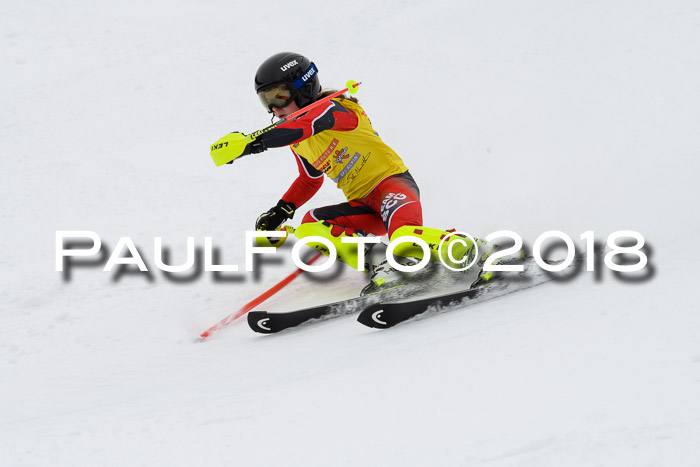 DSV Dt. Schülercup U14 SL 20.01.2018