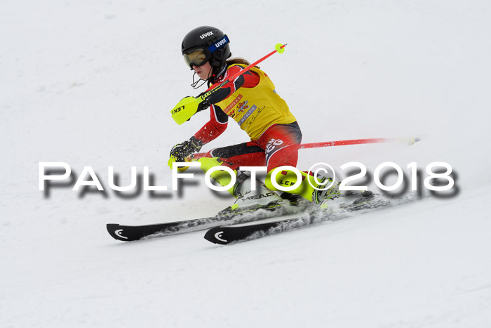 DSV Dt. Schülercup U14 SL 20.01.2018