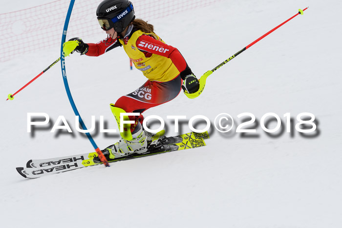 DSV Dt. Schülercup U14 SL 20.01.2018