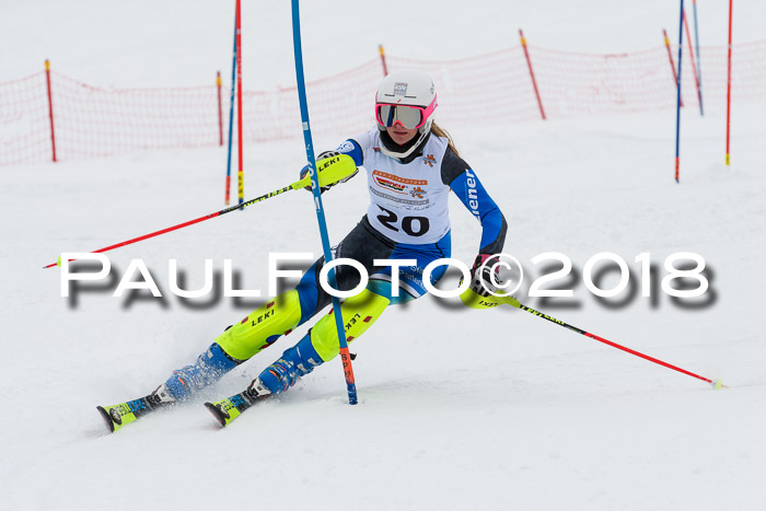 DSV Dt. Schülercup U14 SL 20.01.2018