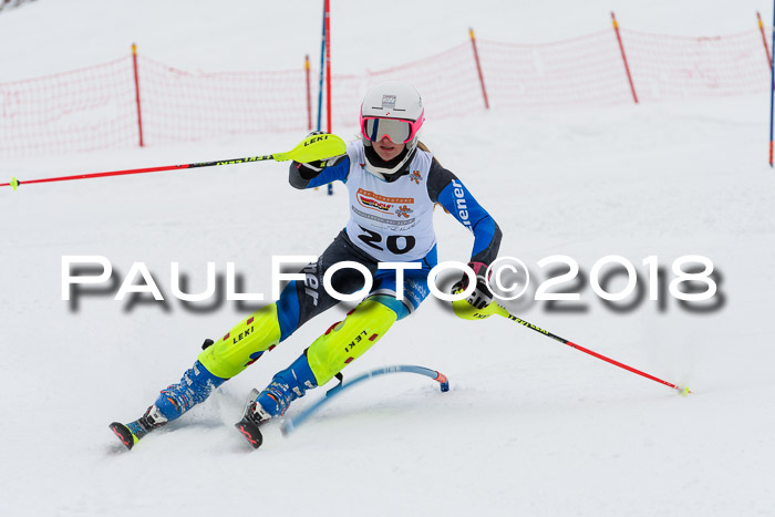 DSV Dt. Schülercup U14 SL 20.01.2018