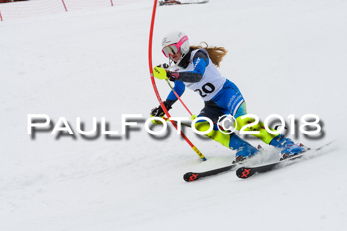 DSV Dt. Schülercup U14 SL 20.01.2018