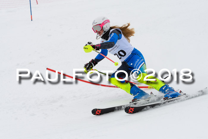 DSV Dt. Schülercup U14 SL 20.01.2018