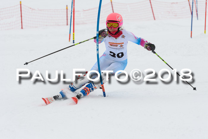 DSV Dt. Schülercup U14 SL 20.01.2018