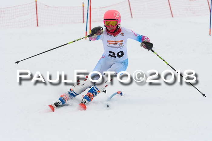 DSV Dt. Schülercup U14 SL 20.01.2018