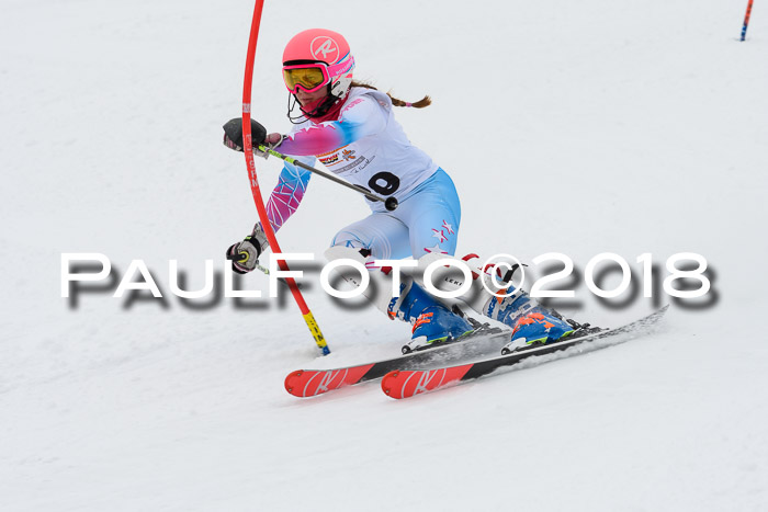 DSV Dt. Schülercup U14 SL 20.01.2018