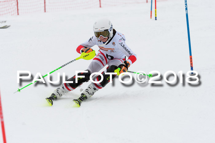 DSV Dt. Schülercup U14 SL 20.01.2018