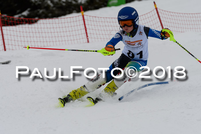 DSV Dt. Schülercup U14 SL 20.01.2018