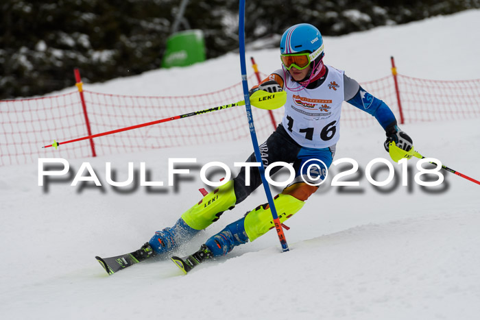 DSV Dt. Schülercup U14 SL 20.01.2018