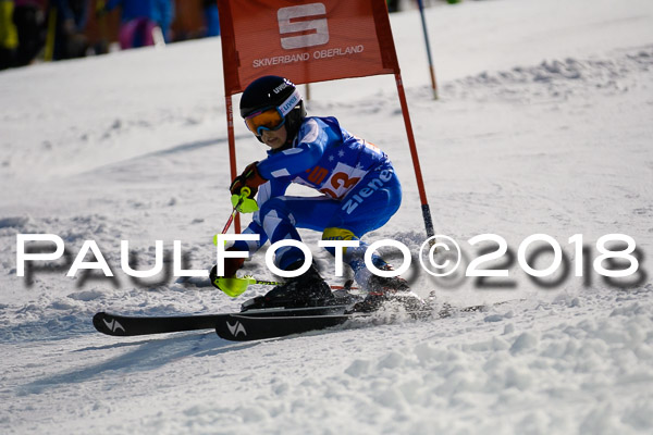 BSV U12 Ziener Kids Cross Cup 1 Region 4