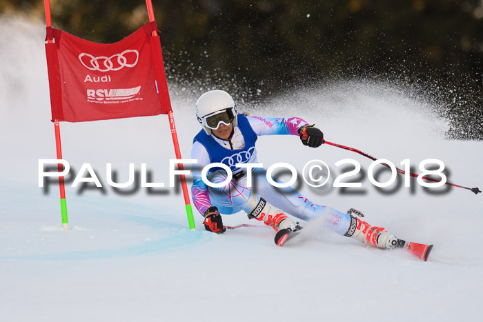 Bayerische Schülermeisterschaft Alpin Riesenslalom 27.01.2018