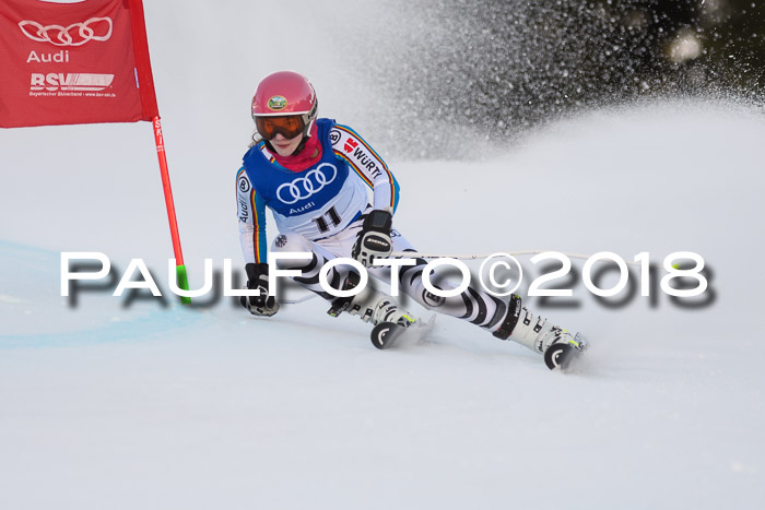 Bayerische Schülermeisterschaft Alpin Riesenslalom 27.01.2018