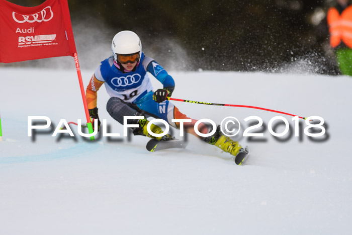 Bayerische Schülermeisterschaft Alpin Riesenslalom 27.01.2018